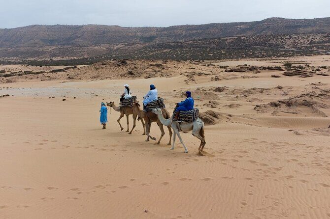 Agadir Sand Dunes and Camel Ride in Tifnit with Lunch - What to Expect from This Tour