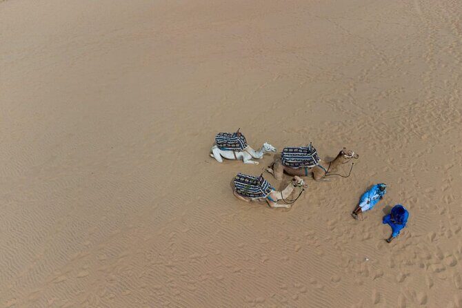 Agadir Sand Dunes and Camel Ride in Tifnit with Lunch - The Sum Up