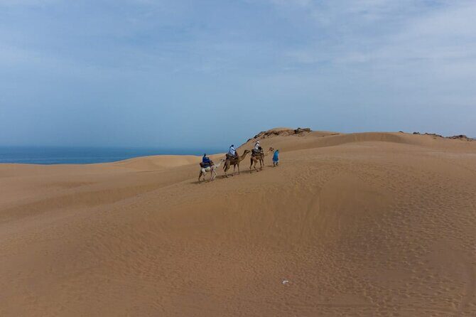 Agadir Sand Dunes and Camel Ride in Tifnit with Lunch - Frequently Asked Questions