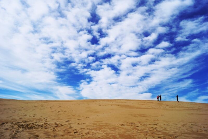 Agadir: Sand Surfing Experience - Who Should Consider This Tour?