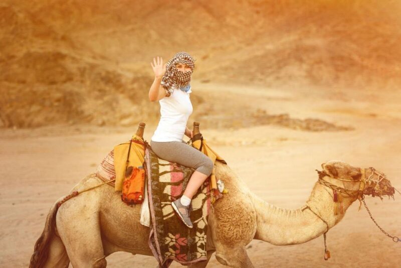 Agadir: Sunset Camel Ride - Flamingo River BBQ & Couscous - Key Points