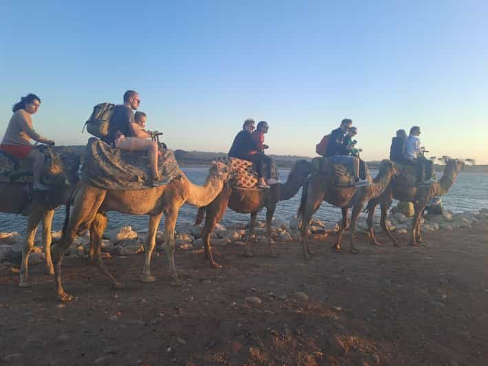 Agadir :Sunset Camel Ride with BBQ Dinner & Transfer - Key Points