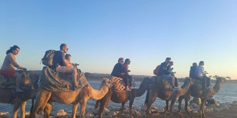 Agadir :Sunset Camel Ride with BBQ Dinner & Transfer - Who Should Consider This Tour?
