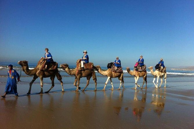 Agadir Sunset Camel Ride with Delicious Couscous & Barbecue - Key Points
