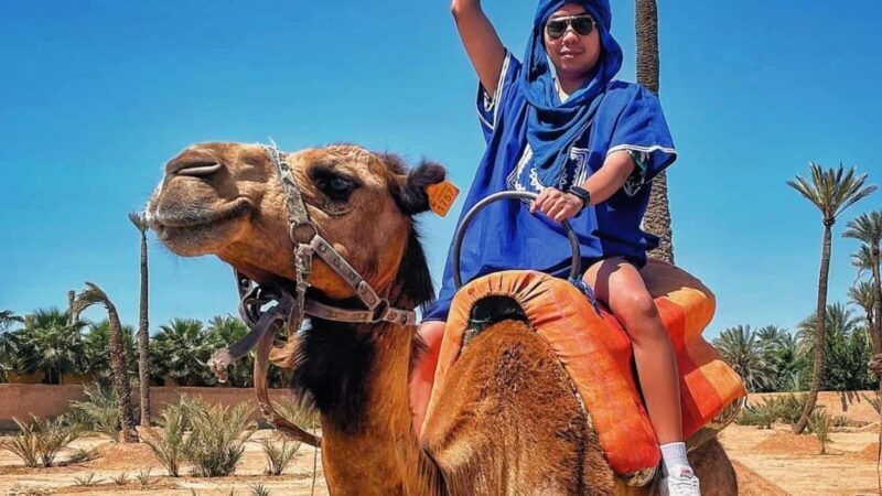 Agadir: Sunset Camel Ride with Local Music and Dinner - What to Expect During the Tour