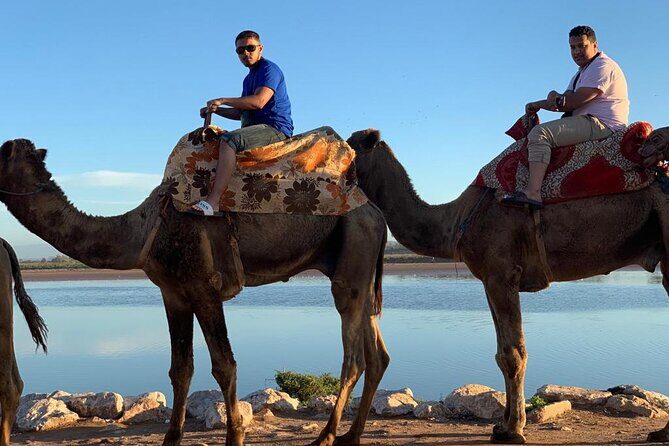 Agadir Sunset Camel Ride with Moroccan Barbecue & Hotel Transfers - Key Points