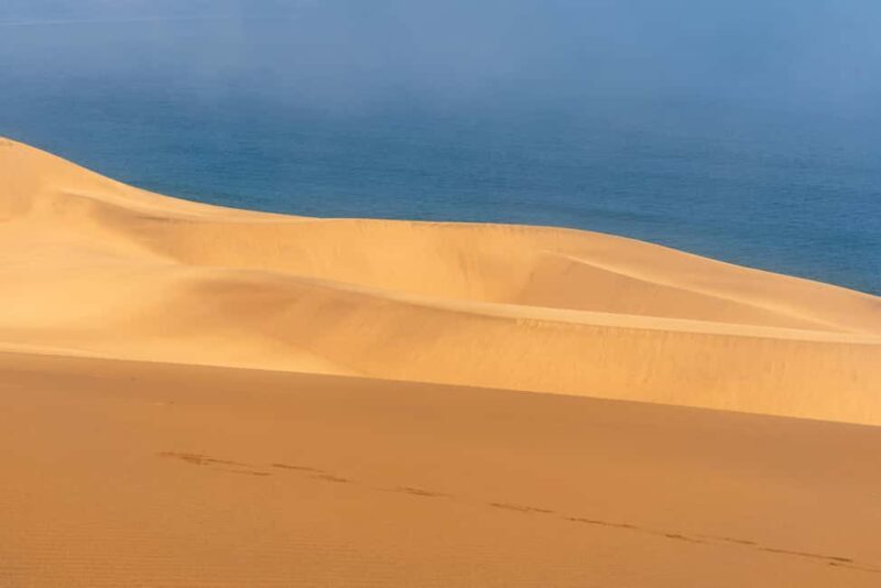 Agadir Sunset Sahara Desert Dunes Half Day Visit - Practical Tips for Your Trip