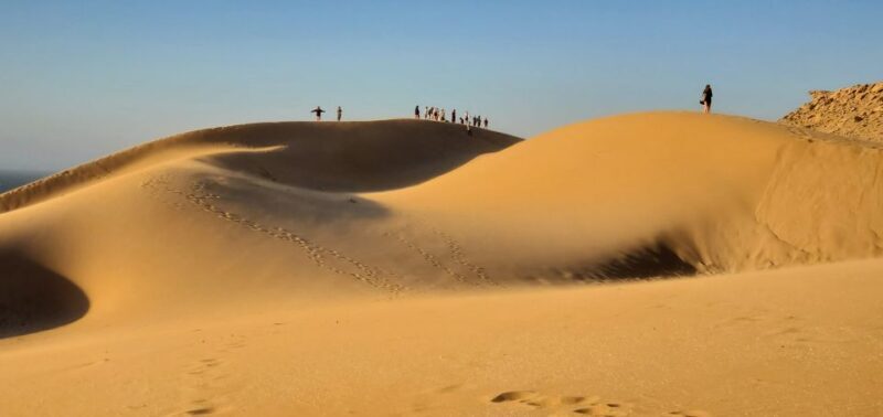 Agadir Sunset Sahara Desert Dunes Half Day Visit - Who Should Consider This Tour?