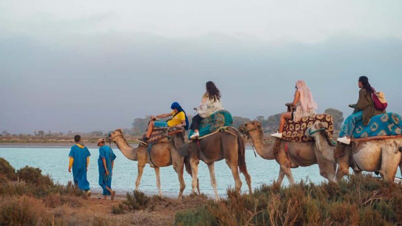Agadir/Taghazout: Camel Ride with Tea Drink and Transfers - A Closer Look at the Camel Ride Experience