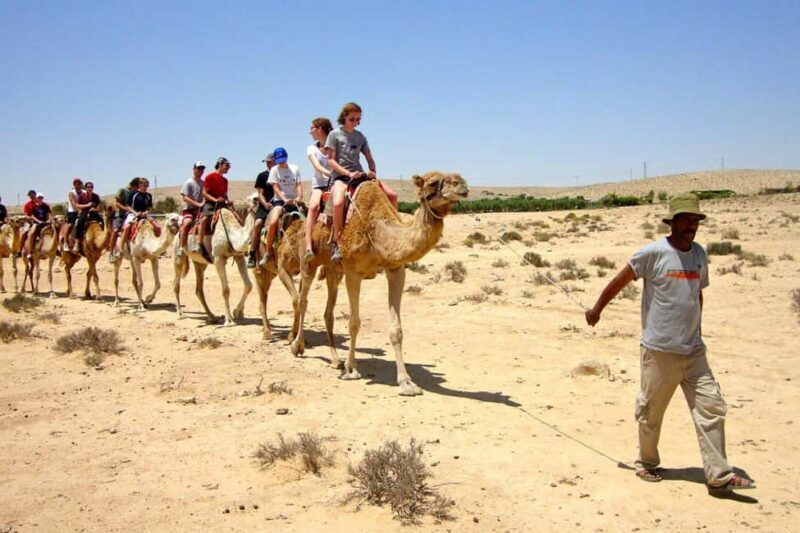 Agadir/Taghazout: Camel Ride with Tea Drink and Transfers - Authenticity and Cultural Significance