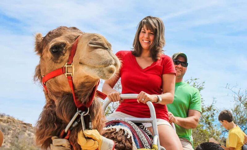 Agadir/Taghazout: Camel Ride with Tea Drink and Transfers - Considerations for Travelers