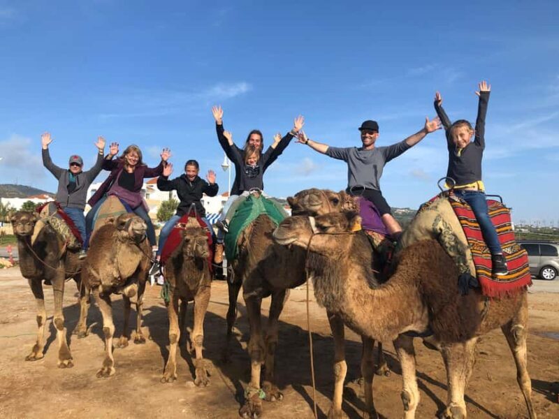 Agadir/Taghazout: Camel Ride with Tea Drink and Transfers - Final Thoughts