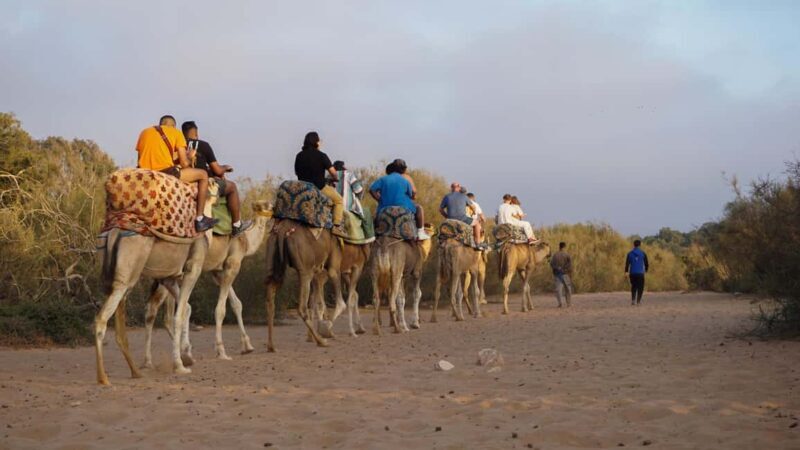 Agadir/Taghazout: Camel Ride with Tea Drink and Transfers - FAQ