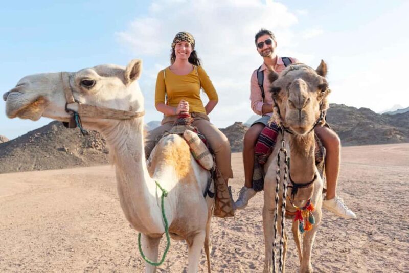Agadir/Taghazout: Camel Rides with Tea Drink and Transfer - Key Points