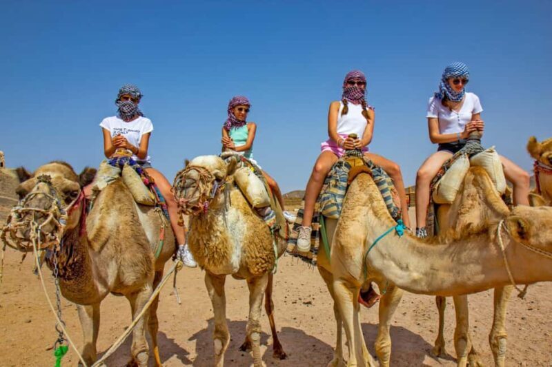 Agadir/Taghazout: Camel Rides with Tea Drink and Transfer - Frequently Asked Questions