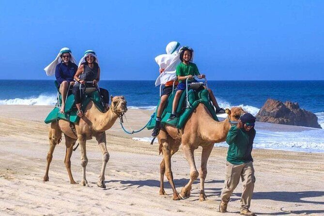 Agadir & Taghazout: Half Day Quad Bike Adventure and Camel Ride - The Camel Ride