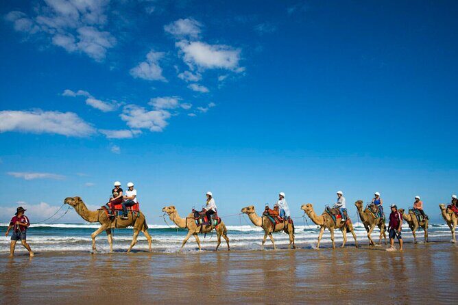 Agadir & Taghazout: Half Day Quad Bike Adventure and Camel Ride - The Sum Up