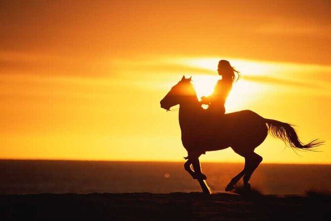 Agadir/Taghazout Horse Ride on the beach - Agadir/Taghazout Horse Ride on the Beach: An Authentic Coastal Adventure