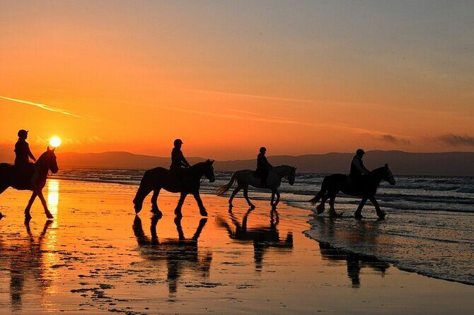 Agadir/Taghazout Horse Ride on the beach - Key Points