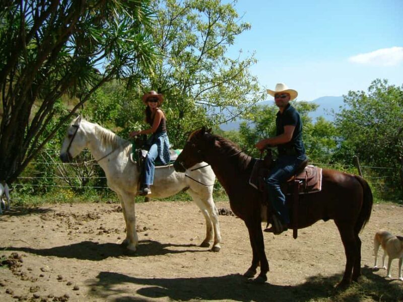 Agadir/Taghazout: Horse Rides Experience With Transfers - Key Points