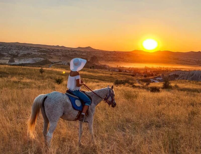 Agadir/Taghazout: Horse Rides Experience With Transfers - Who Should Consider This Tour?
