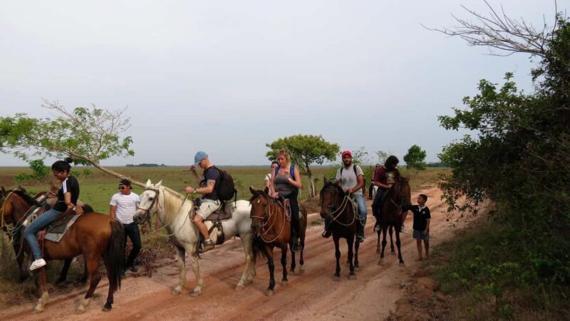 Agadir/Taghazout: Horse Rides Experience With Transfers - FAQs