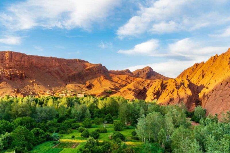 Agadir/Taghazout: Paradise Valley Atlas Mountains Day Trip - What Makes This Tour Stand Out?