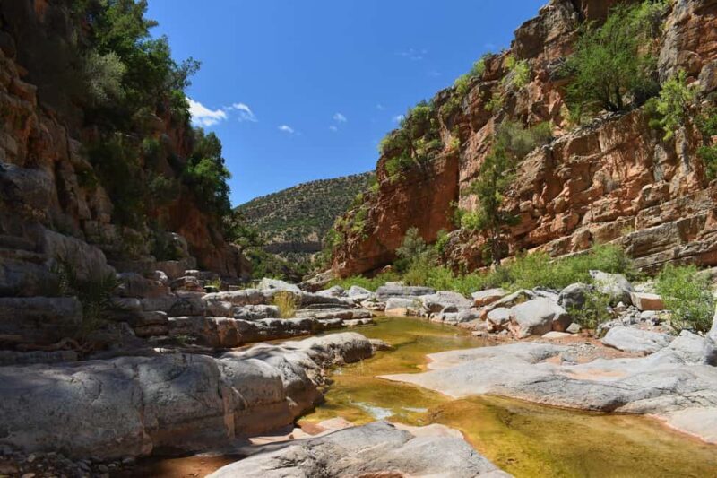 Agadir/Taghazout: Paradise Valley Atlas Mountains Trip - Returning to Agadir or Taghazout