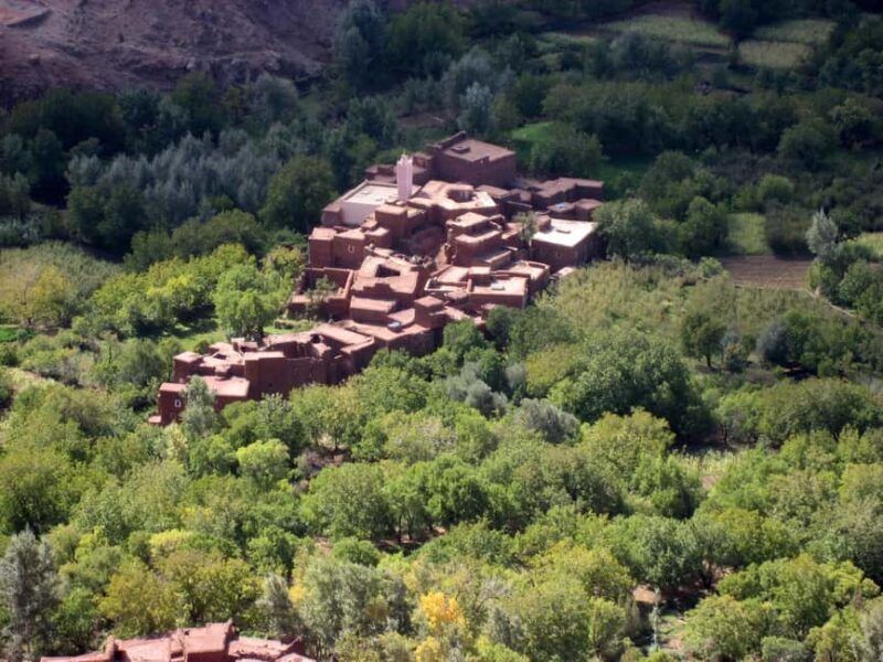 Agadir/Taghazout: Paradise Valley Half-Day Tour with Lunch - Key Points  