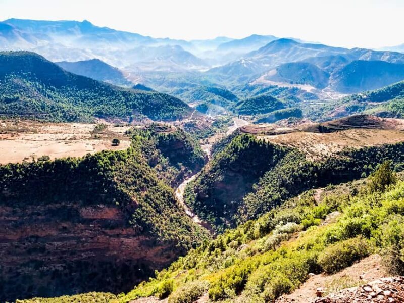 Agadir/Taghazout: Paradise Valley Half-Day Tour with Lunch - What to Expect on the Paradise Valley Half-Day Tour