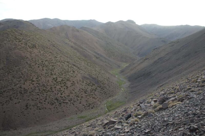 Agadir/Taghazout: Paradise Valley Half-Day Tour with Lunch - Who Will Love This Tour?