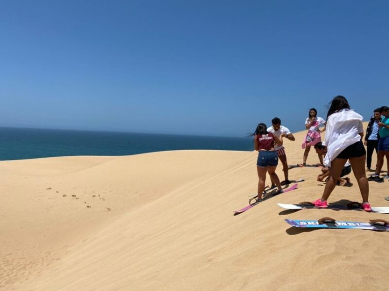 Agadir/Taghazout : Paradise Valley & Sandboarding with Lunch - Overview of the Paradise Valley & Sandboarding Tour from Agadir/Taghazout