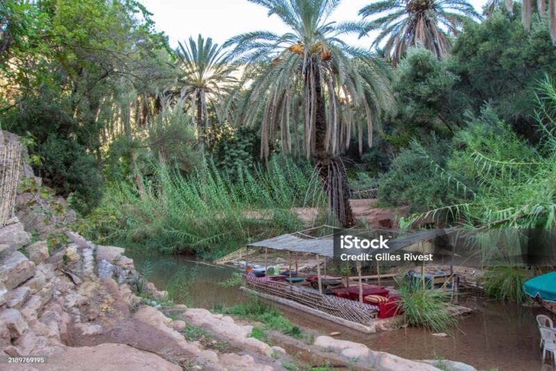 Agadir/Taghazout : Paradise Valley & Sandboarding with Lunch - Key Points