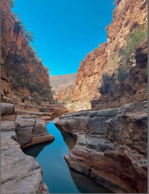 Agadir /Taghazout : Paradise Valley Visit + Lunch & Transfer - Key Points