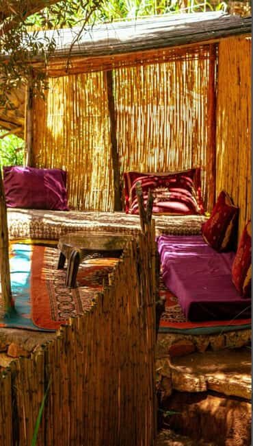 Agadir /Taghazout : Paradise Valley Visit + Lunch & Transfer - Who Is This Tour Best For?
