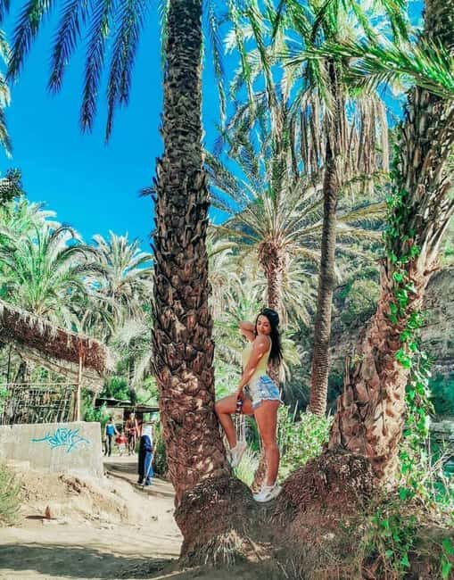 Agadir /Taghazout : Paradise Valley Visit + Lunch & Transfer - Final Thoughts