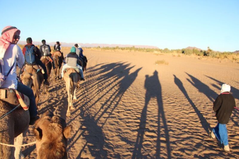 Agadir/Taghazout/Port: Camel Ride Tea & BBQ Option - Key Points