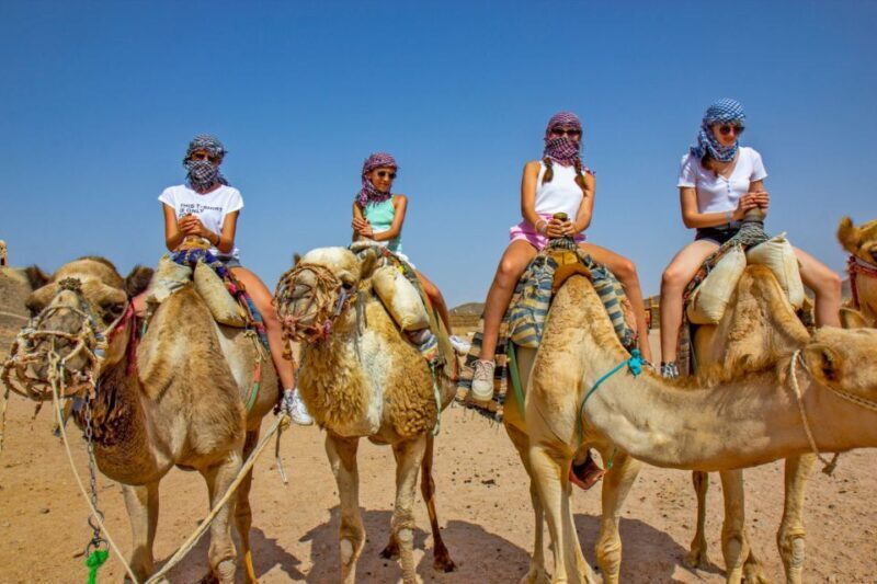 Agadir/Taghazout/Port: Camel Ride Tea & BBQ Option - The Full Experience: What to Expect from the Tour