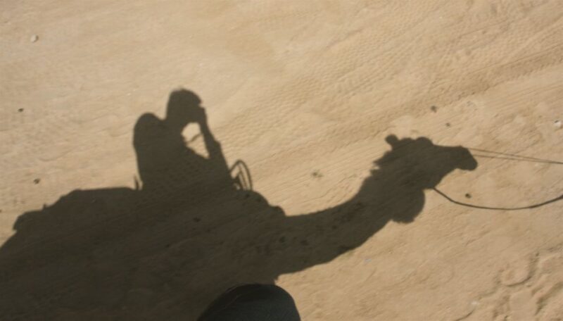 Agadir/Taghazout/Port: Camel Ride Tea & BBQ Option - Practical Tips for Making the Most of the Tour