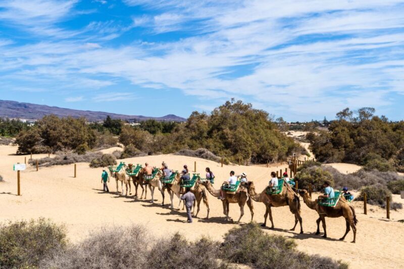 Agadir/Taghazout/Port: Camel Ride Tea & BBQ Option - FAQs