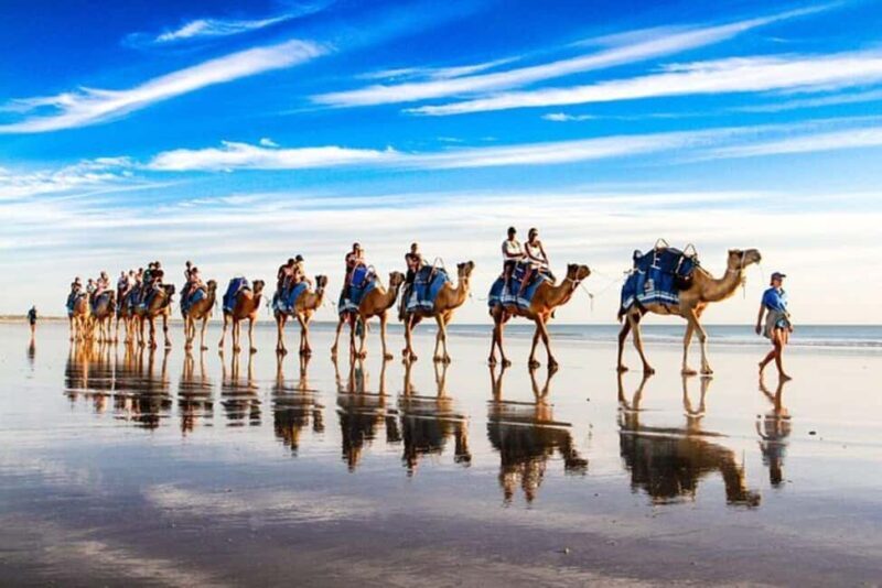 Agadir/Taghazout : Quad Bike & Camel Ride On The Beach - Authentic Experiences from Reviews  