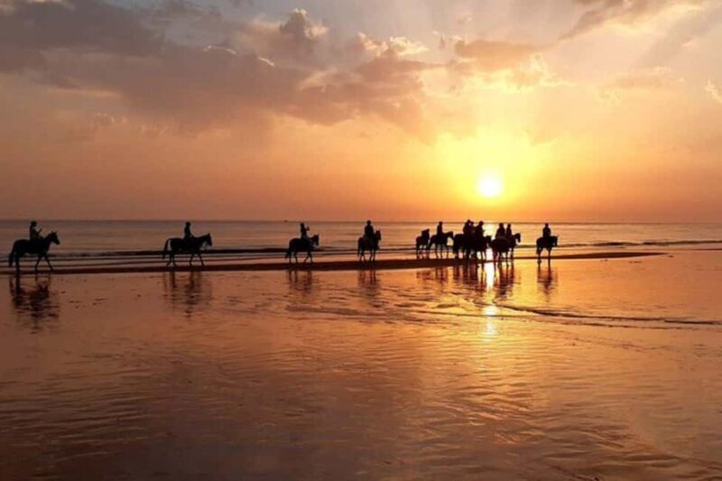 Agadir/Taghazout : Quad Bike & Horse Ride On The Beach - An Authentic Moroccan Adventure: Quad Bike & Horse Ride on the Beach