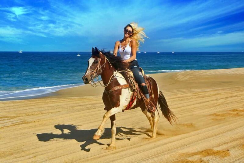 Agadir/Taghazout : Quad Bike & Horse Ride On The Beach - The Experience: What Youll Encounter