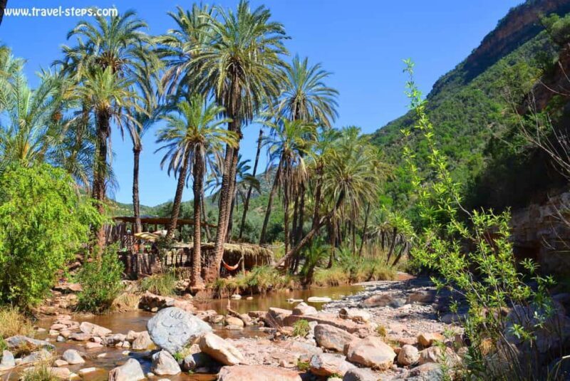 Agadir/Taghazout/Tamraght: Paradise Valley Best Tour - Key Points
