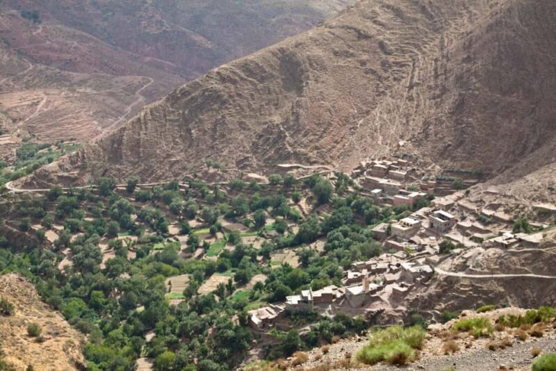Agadir/Tamraght/Taghazout: Paradise Valley Atlas Tour - Scenic Drive into the Atlas Mountains