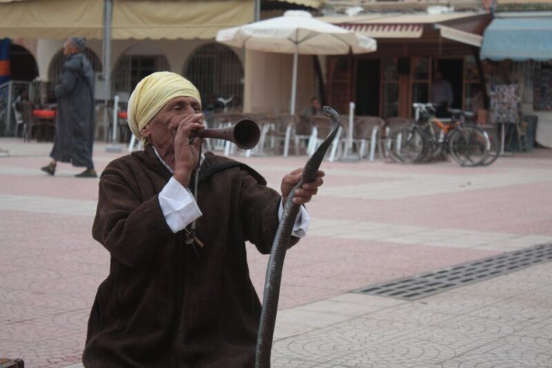 Agadir: Taroudant and Tiout Day Trip & Tajine - FAQ