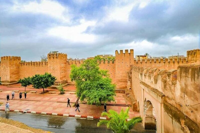 Agadir: Taroudant Oasis and Tiout Day Trip with Lunch Option - Exploring the Taroudant Oasis and Tiout Day Trip: A Genuine Moroccan Experience