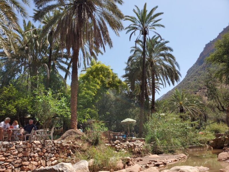 Agadir: Timlaline Desert & Paradise valley with camel ride - Authentic Experiences & What Reviewers Say