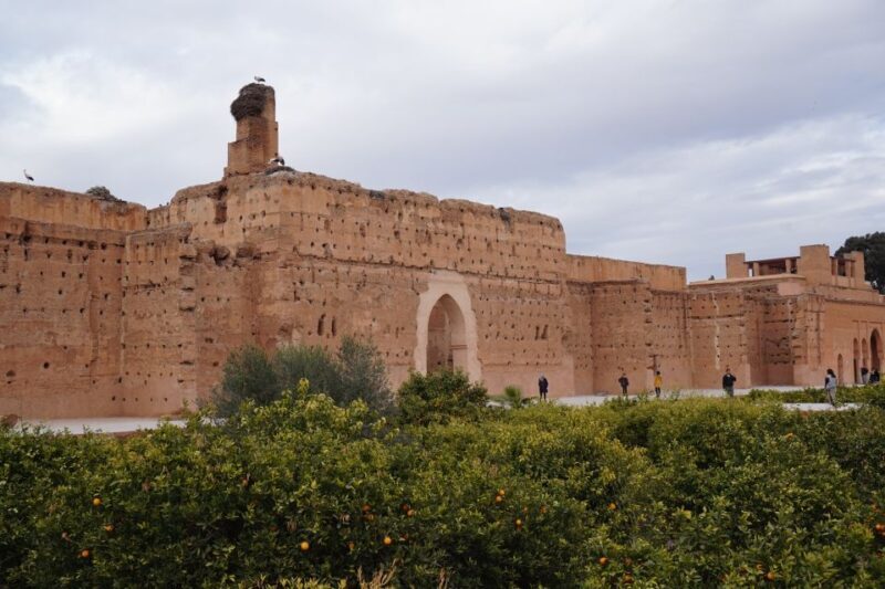 Agadir To Marrakech Day Trip With Amazing Tour Guide - What’s Included and Practical Details