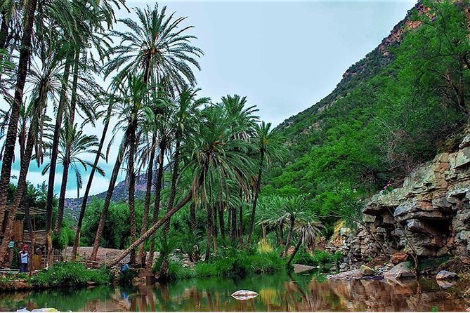 Agadir Trip To Paradise Valley - Practical Details and Tips